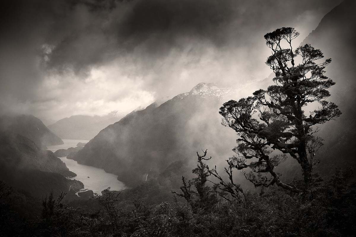 Black and white image of Doubtful Sound, Fiordland, New Zealand