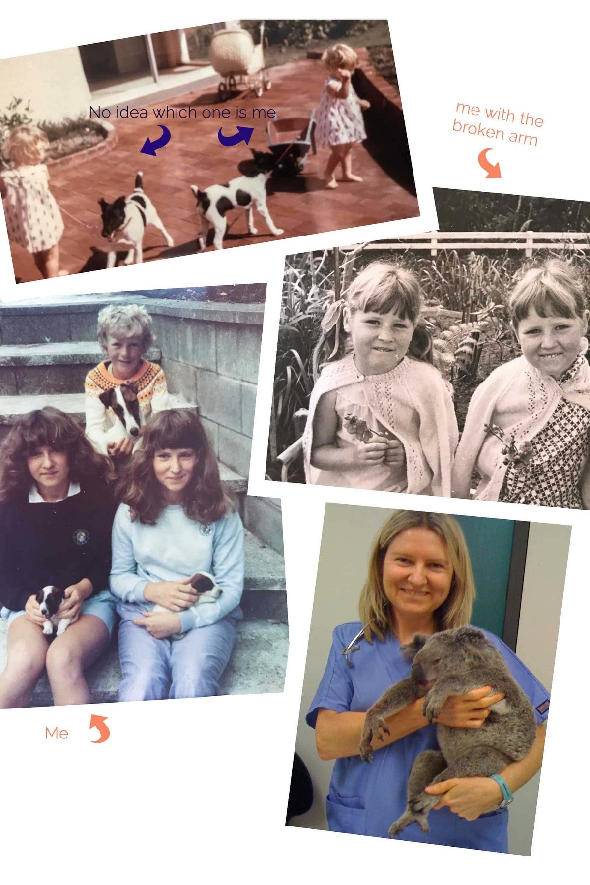 collage of old photos of me with fox terriers and koala