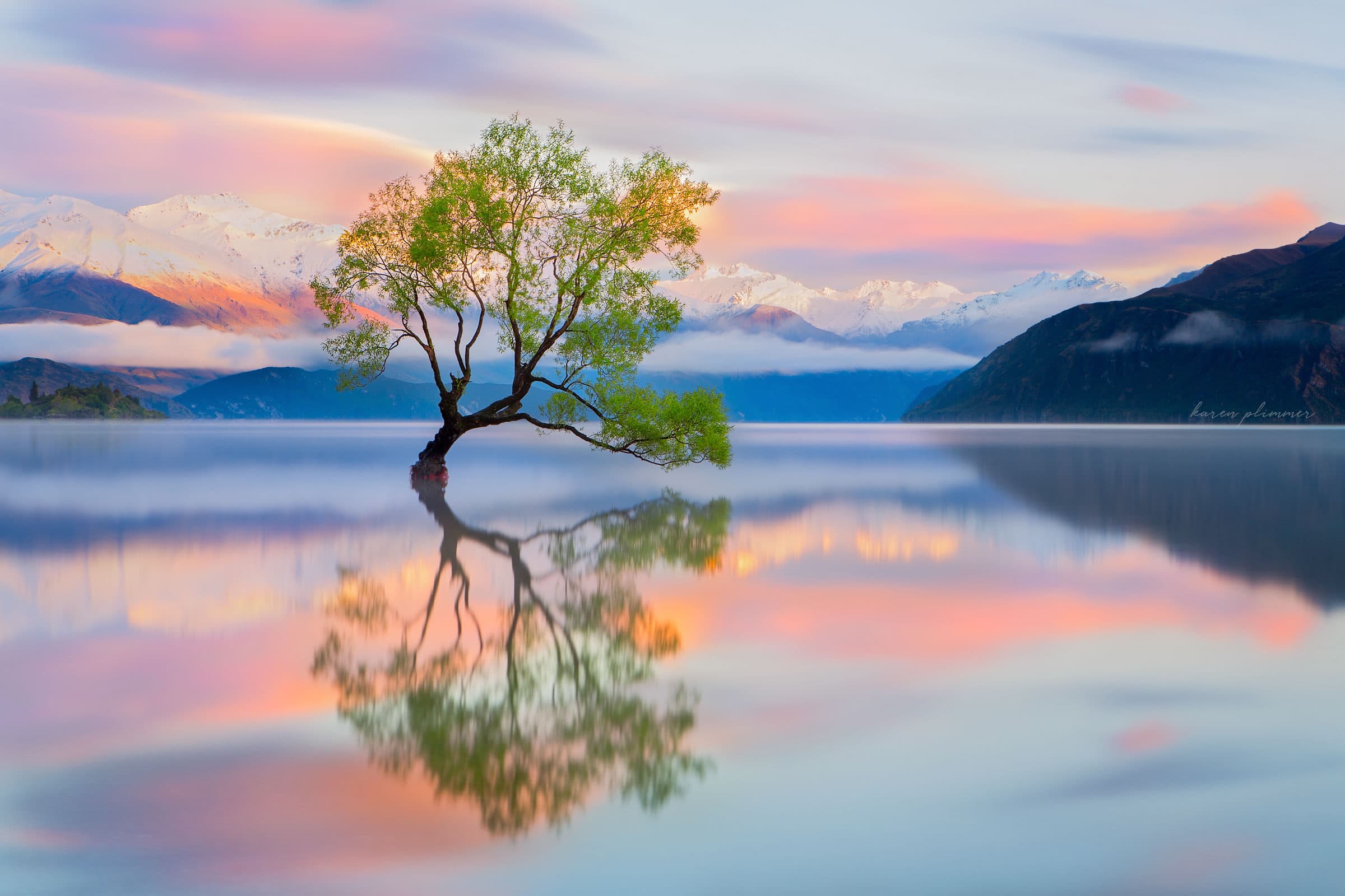 pastel colours at sunrise over the Lake Wanaka willow tree give a feeling of serenity.